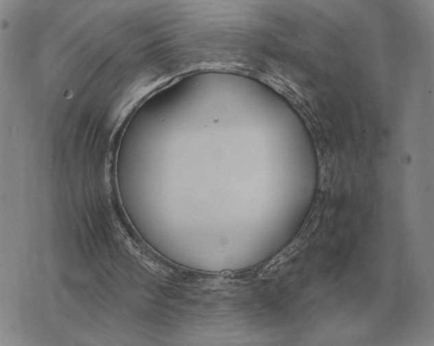 X0000071830098200607211812