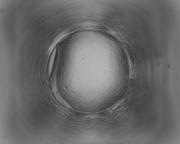 X0000071830099200607211812