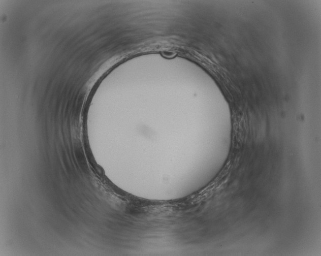 X0000071830100200607211812