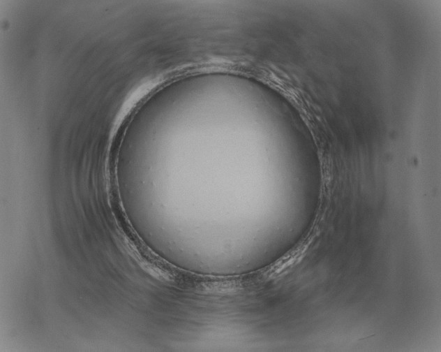 X0000071830102200607211812