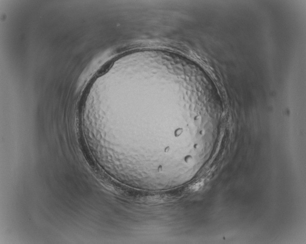 X0000071830103200607211812