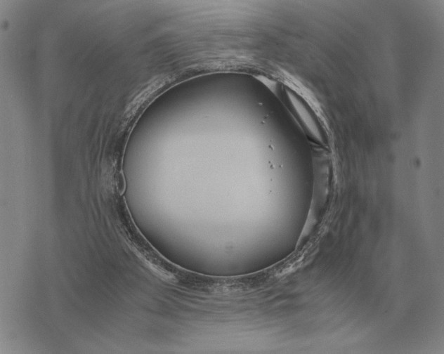 X0000071830105200607211812