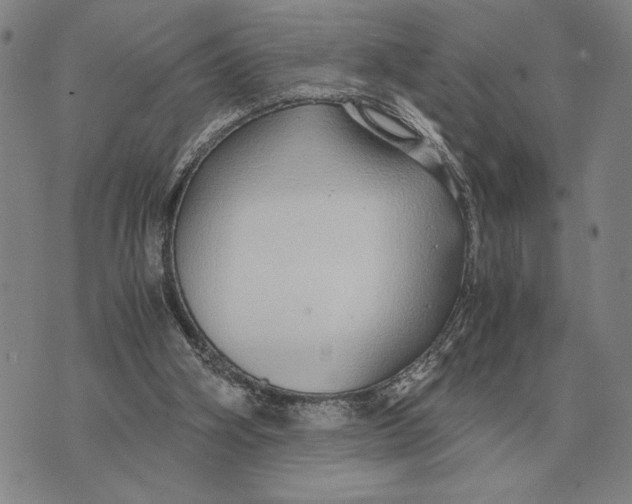 X0000071830106200607211812