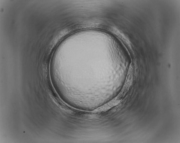 X0000071830107200607211812