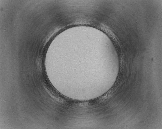 X0000071830108200607211812