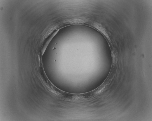 X0000071830109200607211812