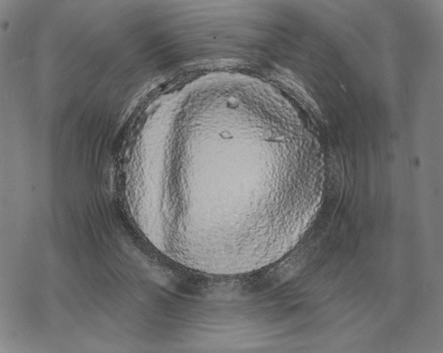 X0000071830110200607211811