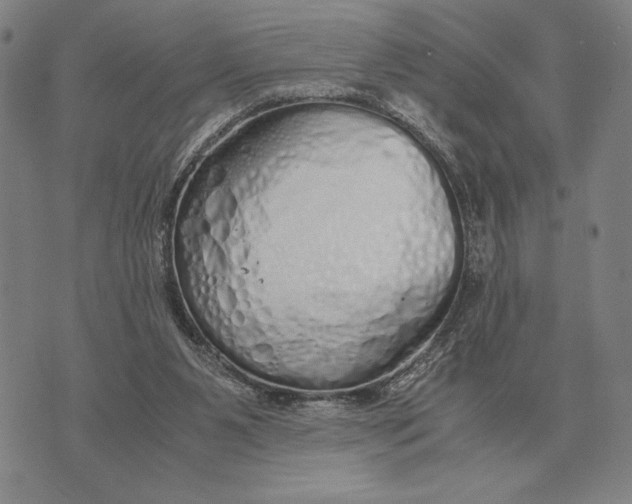 X0000071830111200607211811