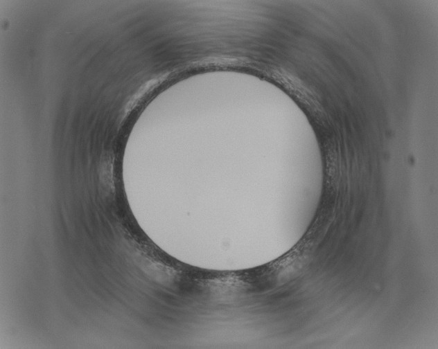 X0000071830112200607211811