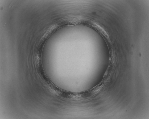 X0000071830113200607211811