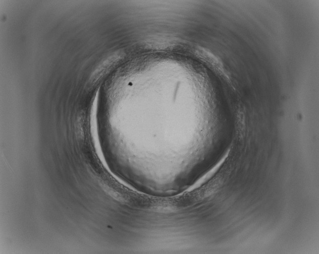 X0000071830114200607211811