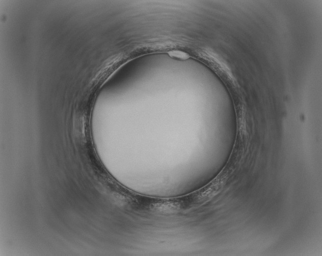 X0000071830115200607211811