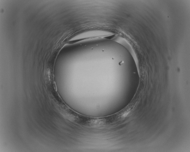 X0000071830117200607211811