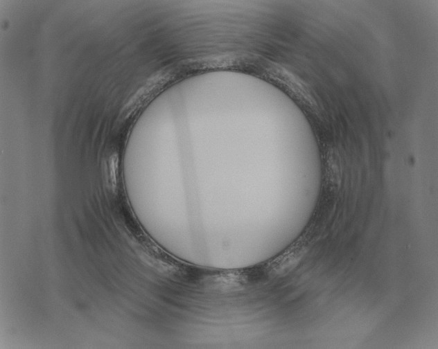 X0000071830118200607211811