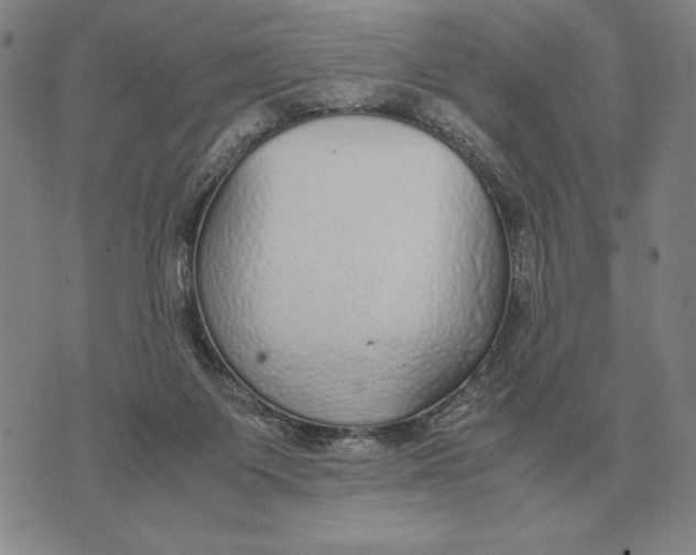 X0000071830119200607211811