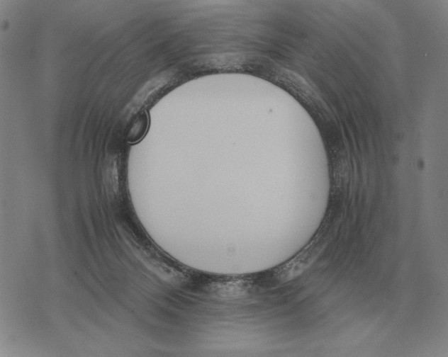 X0000071830120200607211811