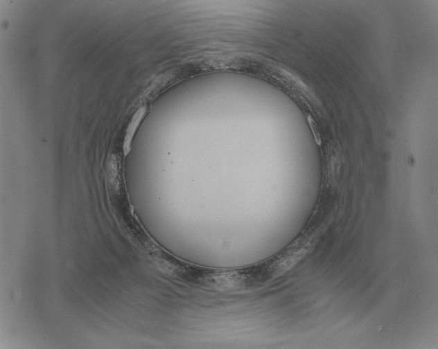 X0000071830121200607211811