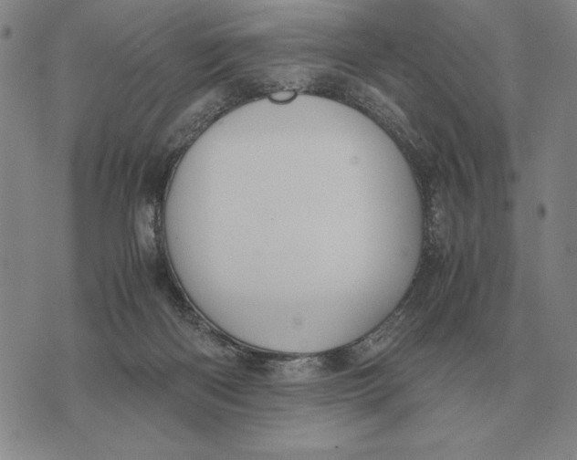 X0000071830122200607211811