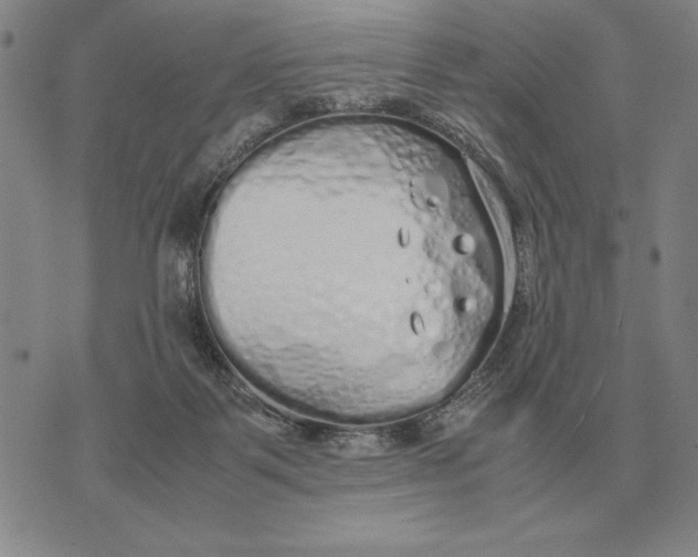 X0000071830123200607211811