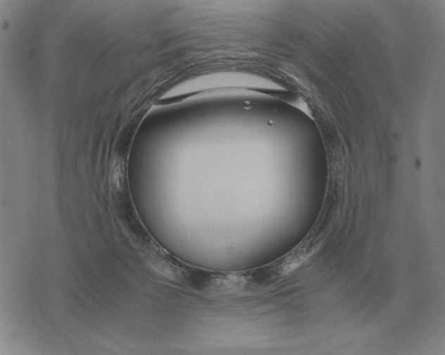 X0000071830125200607211811