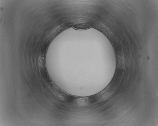 X0000071830126200607211811