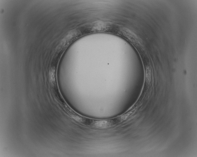 X0000071830127200607211811