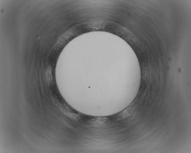 X0000071830128200607211811