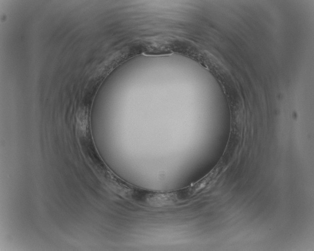 X0000071830129200607211811