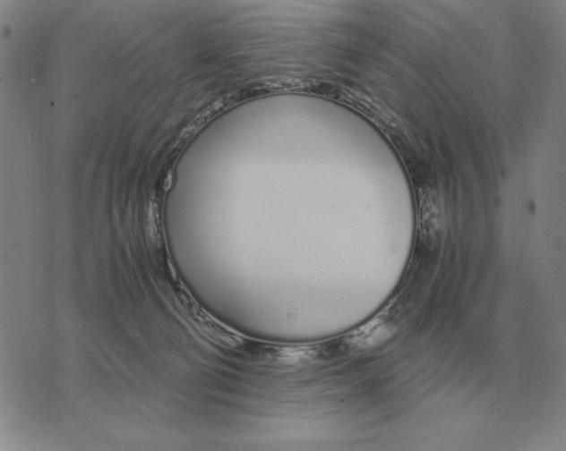 X0000071830130200607211811