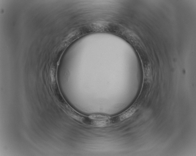 X0000071830131200607211811