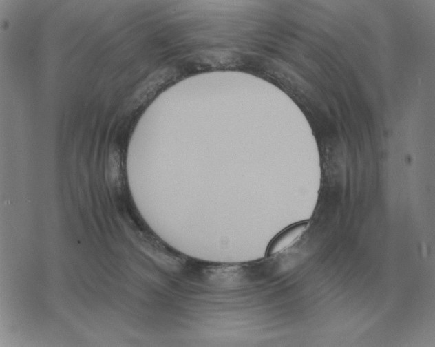 X0000071830132200607211811