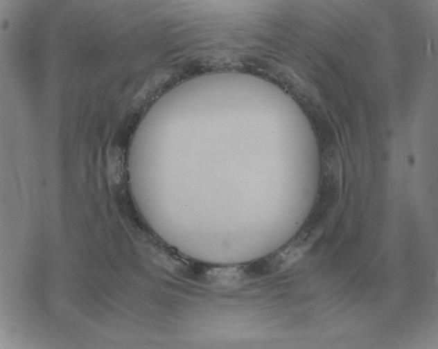 X0000071830133200607211811