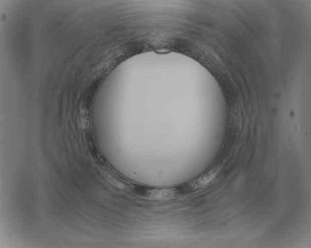 X0000071830135200607211811