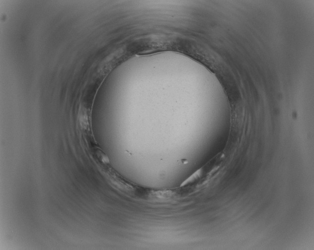 X0000071830137200607211811