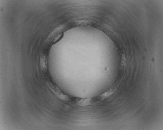 X0000071830138200607211811