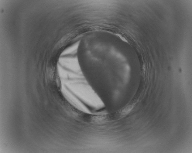 X0000071830139200607211811