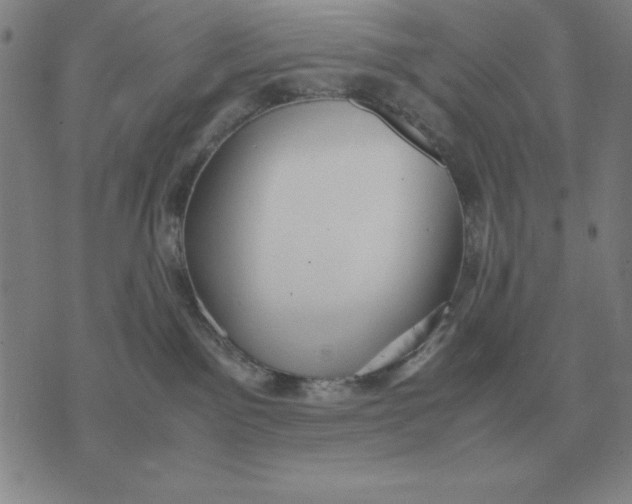 X0000071830141200607211811