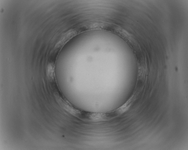 X0000071830142200607211811