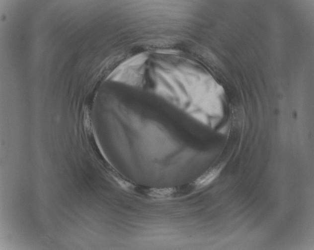 X0000071830143200607211811