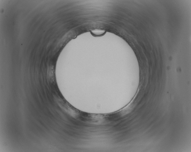 X0000071830144200607211811