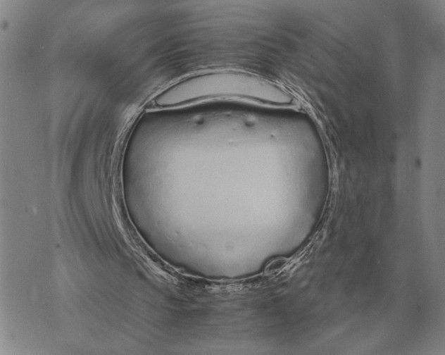 X0000071830145200607211810