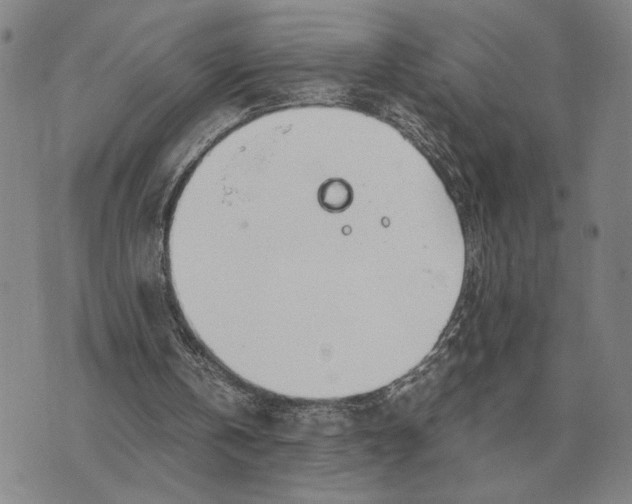 X0000071830146200607211810