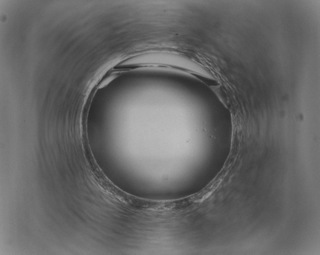 X0000071830148200607211810