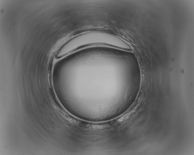 X0000071830149200607211810