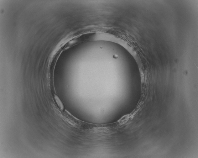 X0000071830150200607211810