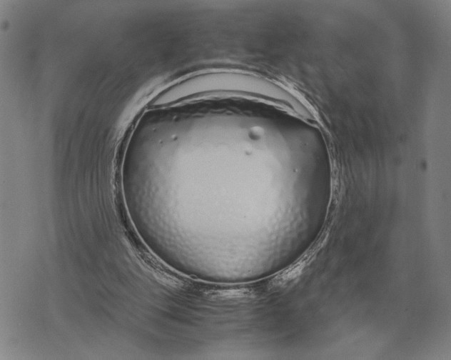 X0000071830151200607211810