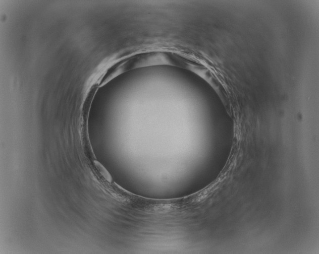 X0000071830152200607211810