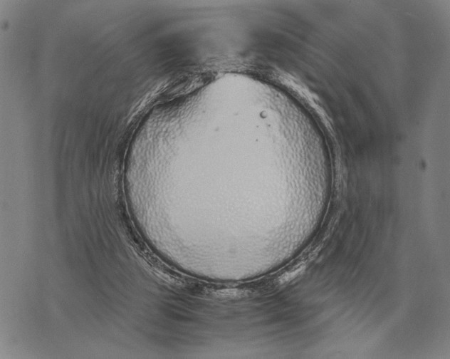 X0000071830153200607211810