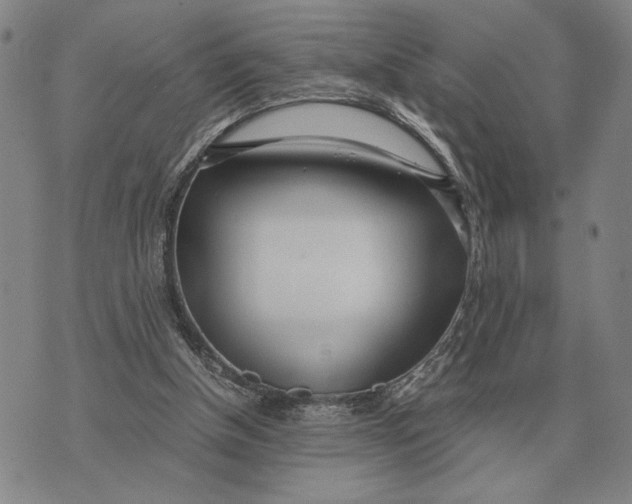 X0000071830154200607211810