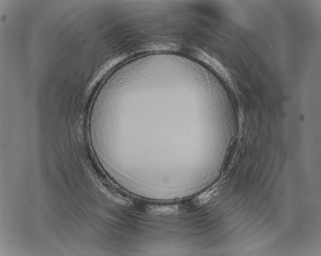 X0000071830155200607211810